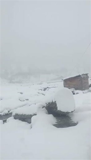 LIVE Snowfall Heavy Snow Falling Right Now | Live Snowfall Cozy Winter Ambience Vibes