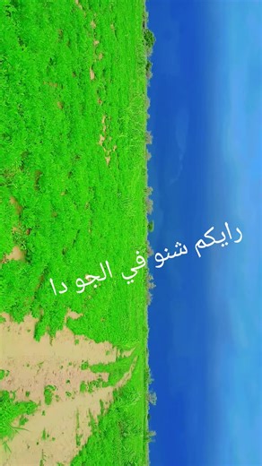 الرشيد الحاج محمد عبدالرحمن اب (@user9368771600114)’s videos with الصوت الأصلي - mag-zoom