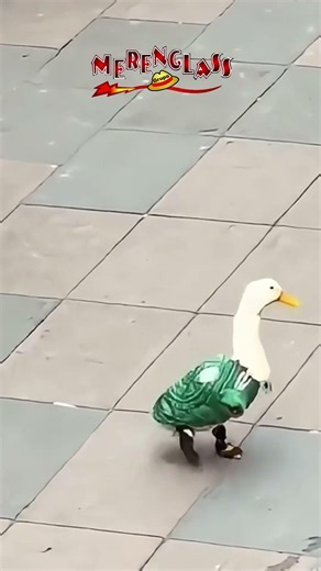 El Baile del pato