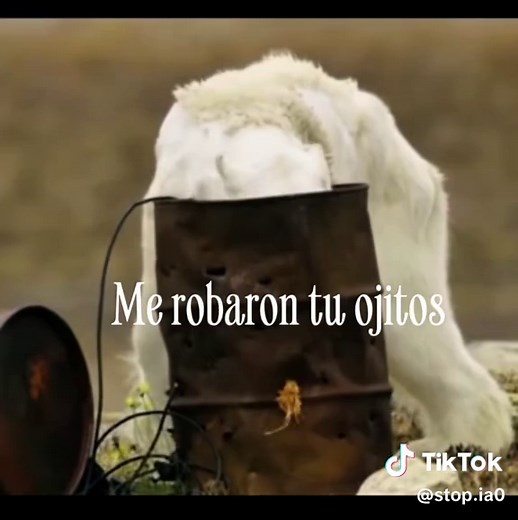 Osos Polares en Peligro de Extinción: ¡Cuidemos el Planeta!