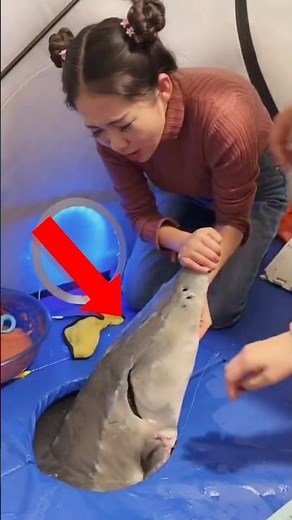 Top Funniest Fishing Fails Ranked! | Best Epic Catches Gone Wrong Moments!