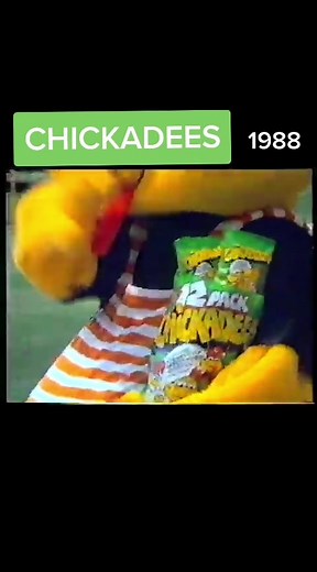 Delicious Chicken Chickadees Snack - Nostalgic 80s Flavor