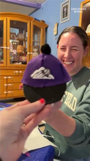 Adorable and fashionable: See crafty tiny hats for cats!