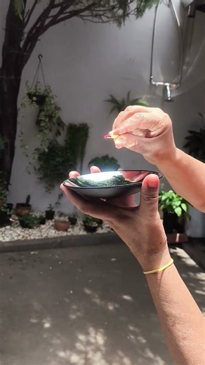 Concave Mirror. Experiments for Science Fair.