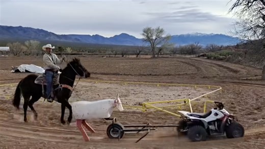 Cowboy Engineers Build Self-Driving Rodeo Robot For Steer Roping Practice