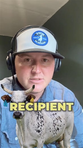 13K views · 115 reactions | The Page 039 female has to be in the conversation as one of the best cows that’s still alive! If she is in the pedigree, it’s probably going to buck! Her sons buck, her sons produce, and her daughters are bound to produce buckers. D&H Cattle Co. | Bucking Stock News | Facebook