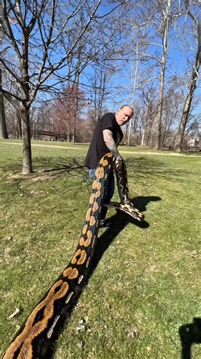 Python Catching is Dangerous 😨 #shorts #trending