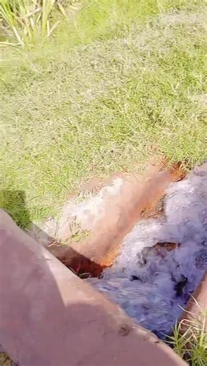 doodh pyr Wala pi lee #tiktoksupportme #viral #viewsproblem #solved #myaccountunfreeze