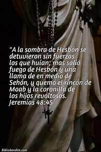 Explicación Jeremías 48:45. 'A la sombra de Hesbón se detuvieron sin fuerzas los que huían; mas salió fuego de Hesbón y una llama de en medio de Sehón, y quemó el rincón de Moab y la coronilla de los hijos revoltosos.' - BibliaBendita