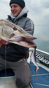 67K views · 1.4K reactions | When the pike hunger gets real, it’s time for the Real Eel.  Go big or go home, savages.  #savagegear #savageworld #gobigorgohome #bigpike #pikefishing #hechtangeln | Savage Gear | Facebook