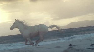 Horse Running On Beach Stock Footage Video (100% Royalty-free) 6390734 | Shutterstock