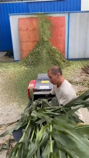 Corn Stalk Chopping Machine – Fast Fodder Processing for Livestock