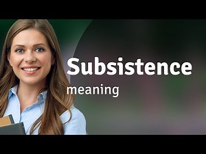 Subsistence | what is SUBSISTENCE definition
