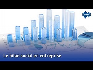 Le bilan social en entreprise