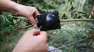 Watch Using process of rooting ball on Amazon Live