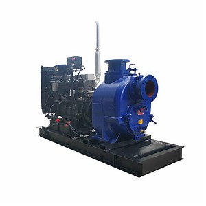 [Hot Item] Diesel Engine Water Pump in Farm Irrigation System