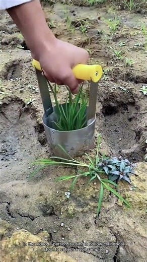 Soil Sampling with a Hollow Cylinder Tool