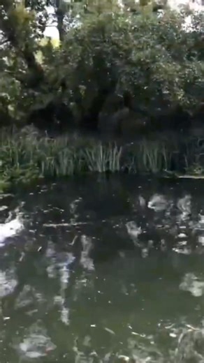 FOUND A NICE SPOT 🎣 #fishing