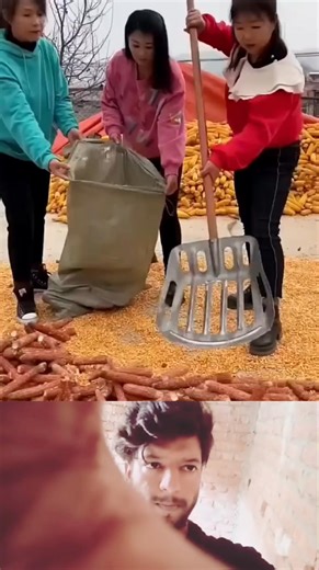 4.6K views | Corn cob collection process | Mouse trap 2022 | Facebook