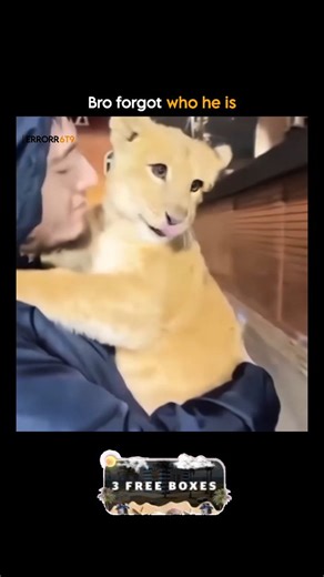 ERROR 69 on Instagram: "Open 3 free luxery boxes on Hypedrop | Epstein island drop: Some boxes are better left unopened… but not today. F//@errorr6t9 for relatable content #reelsinstagram #reelkarofeelkaro #sarcasm #relatablememes #errorr6t9 #sarcasmreels #relatablequotes #fyp #quotestagram #reels #trendingreels #viralreels #thegirls #theboys"