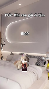 1.4M views · 10K reactions | Chắc là vậy #short #cat #meme | Núp Gầm Giường | Facebook