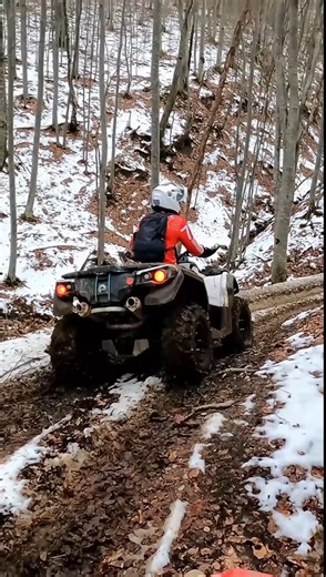 We Rule the Winter Trails ❄️ Frozen Forest Adventure 🥶 | Atv Adventure Vlog