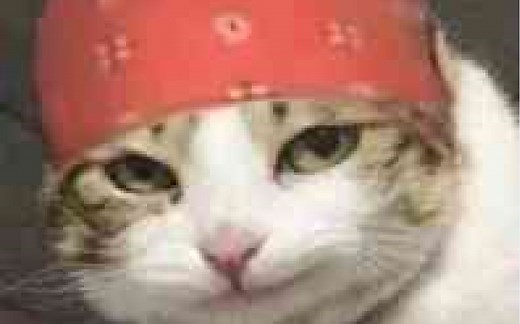 【哲学】劲爆♂电音 Spider-Teminite