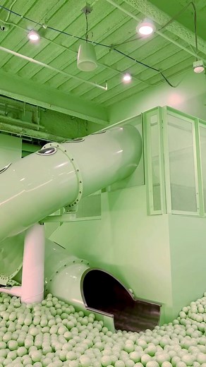 Color Factory on TikTok