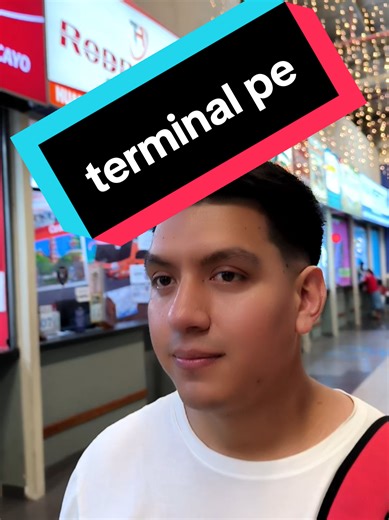 Terminal Scene Overview