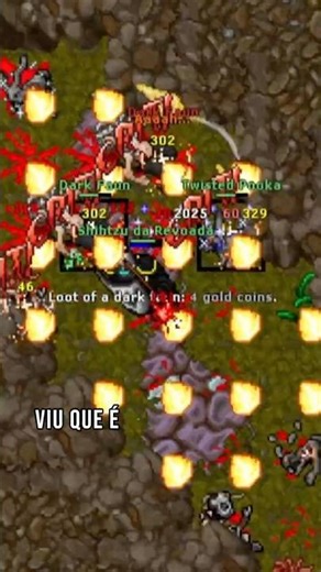 TIBIA - HUNT BOA PARA PALADIN A PARTIR DO LEVEL 100