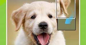 Jigsaw Block Puzzle- PC&MACでダウンロードしてプレイしよう(アプリプレイヤー)