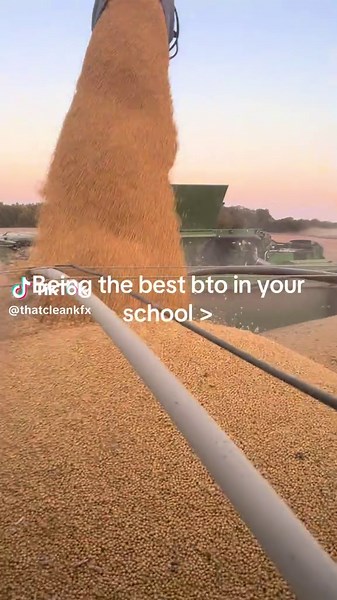 Achieving BTO Excellence in School Life