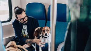 How to travel with your dog to any climate