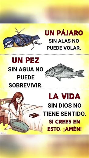 Videos de 😍Liss😍 (@liset_seken) con “sonido original - 🦋iButterFly🦋”