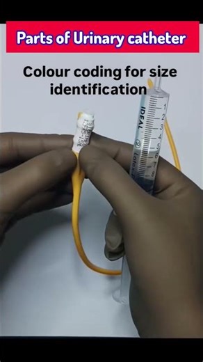 Don’t Use a Foley Catheter Until You Know These Parts#‪@SmartMedicalKnowledge‬