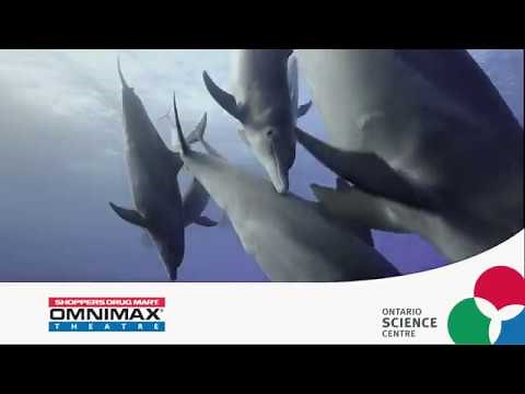 Oceans: Our Blue Planet