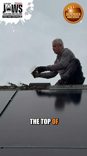 Stop Pigeons Perching on Solar Panels Fast with Defender Jaws
