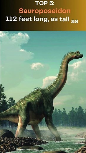 Top 10 Largest Dinosaurs That Ever Lived #top10 #top #top1