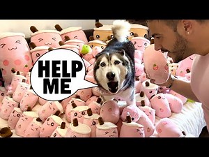 Surprising Meeka With 1000 Toys (SHE GOT SCARED!) 😱
