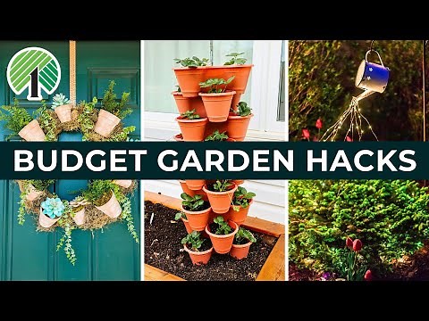 10 Genius New Dollar Tree Garden Hacks That Look Like Designer Decor!