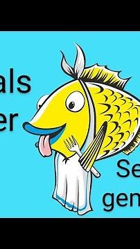 Angelteig selber machen, Rezepte für Angelteige, Karpfenköder, Friedfischangeln für Anfänger