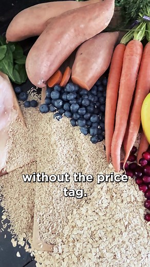 This Cold-Pressed, Gut-Friendly Dog Food Is Taking The Pet World By Storm! Want a small amount to try first? Order a trial pack of our cold-pressed dog food recipes - designed to fill nutritional gaps and win over fussy eaters! ✅ Great for sensitive stomachs ✅ Complete & balanced nutrition profile ✅ Watch your pup wolf it down! 1,000's of happy pups are already thriving on Nextrition Cold-Pressed Dog Food. See if your dog is next by grabbing your own low-cost trial packs today: www.nextrition.co