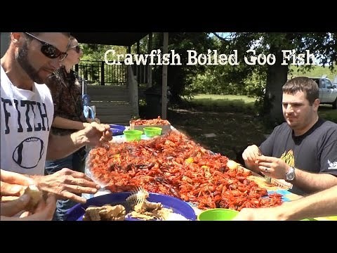 Making Imitation Crab Meat with Goo Fish