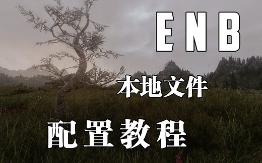 上古卷轴5 ENB/Enboost 本地文件设置完全指南 (传奇般，enblocal.ini)