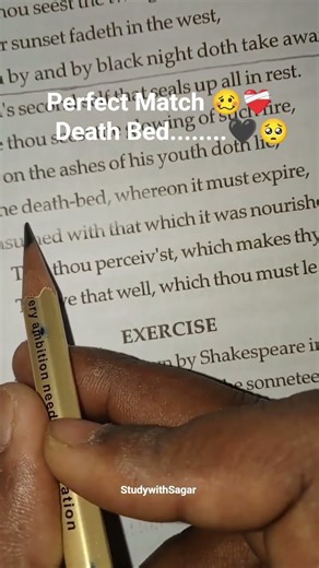 “Perfect Match for My Notebook ✨📓 | Aesthetic Study Vibes”