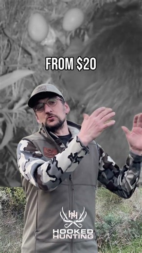 Save The Turkeys-Kill A Raccoon! #predatorhunting #savethepoults #turkeyhunting #raccoonhunting