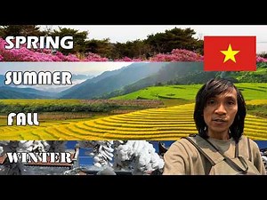 When Is the Best Time to Visit Sapa, Vietnam? (A Complete 4-Season Guide 🇻🇳)