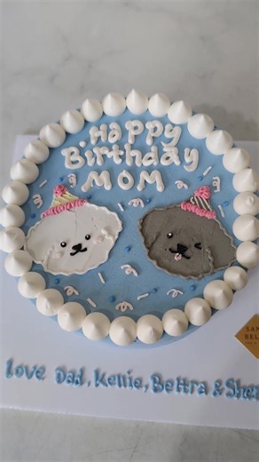 Sanobella® Cake Official ✨ on TikTok