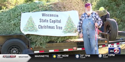 Tree from Oconto County headed to the Wisconsin State Capitol for the holidays