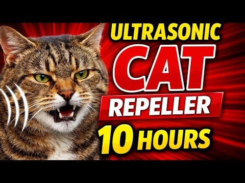 Ultrasonic Cat Repeller Sound 🔊 | High Frequency (10 Hours)